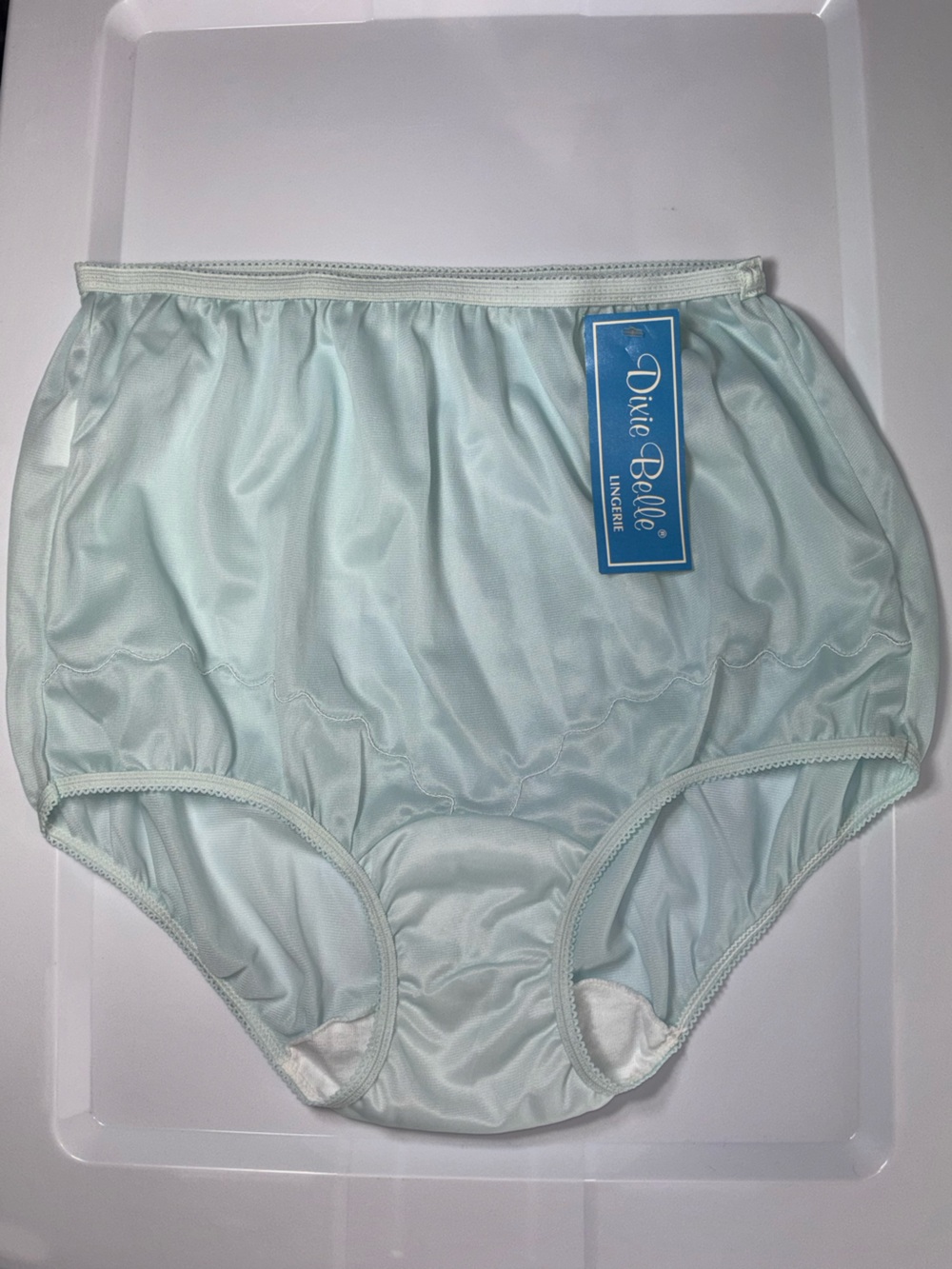 NWT NOS Vintage Dixie Belle High Waist Full Coverage Panties Sheer Nylon Size 6